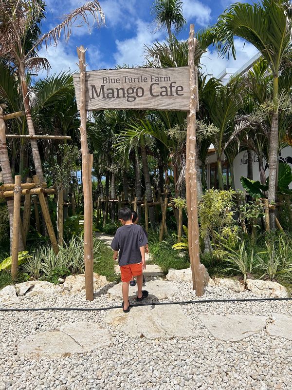 日本・沖縄県「宮古島2023」の写真