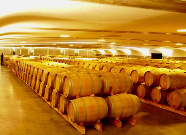 香港・跑馬地 Happy Valley「NRT ✈︎ HKG ✈︎ CDG 🚇 Bordeaux ⛐ Pauillac ⛐ Margaux 🚇 CDG ✈︎ HKG ✈︎ NRT」の写真：予約をしていたので、受付の男性が直々にシ...