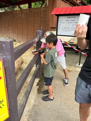 地獄めぐり　東洋軒とり天
