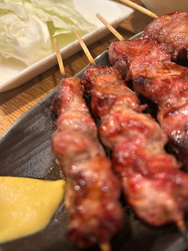 日本・千葉県「千葉と東京」の写真：新橋で夕食