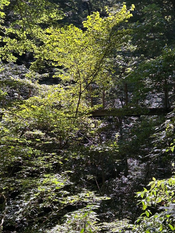 日本・千葉県「千葉と東京」の写真