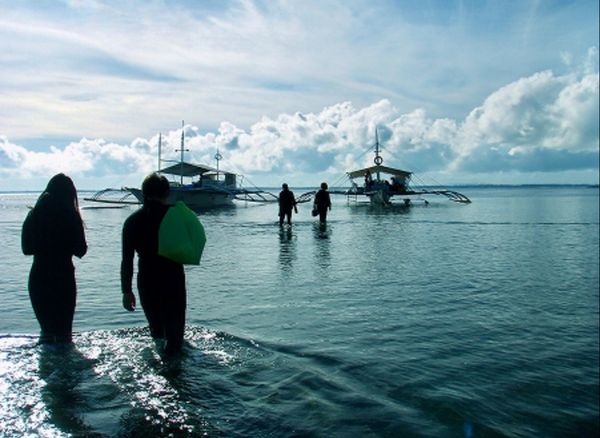フィリピン・セブ島「HKG ✈︎ CEB ✈︎ HKG」の写真：セブ島でのダイビング。

当時はマクロ撮...