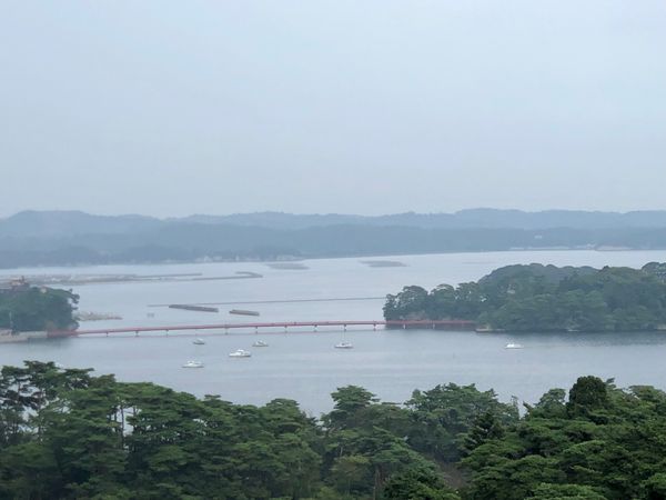 日本・松島「松島」の写真