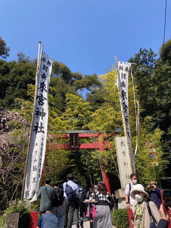 「母喜寿」の写真