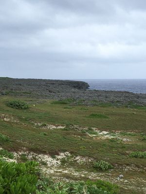 1枚目　着いてすぐ　友人と合流前に、白保の集落を散歩
2枚目　波照間島へ　...