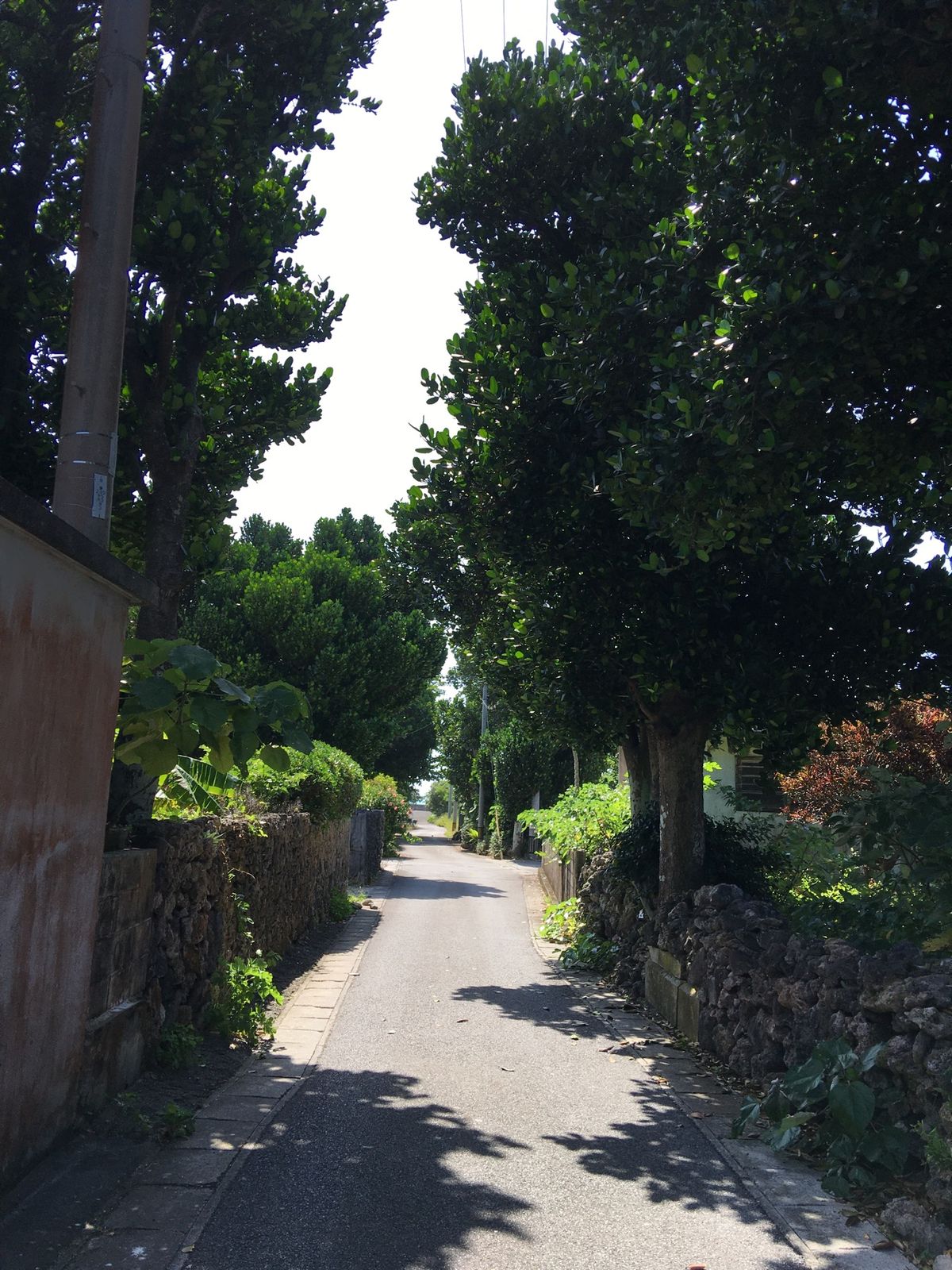 1枚目　着いてすぐ　友人と合流前に、白保の集落を散歩
2枚目　波照間島へ　...