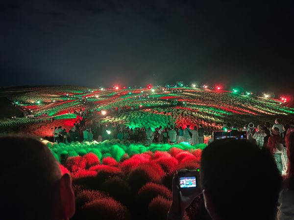 日本・茨城県「海浜公園」の写真