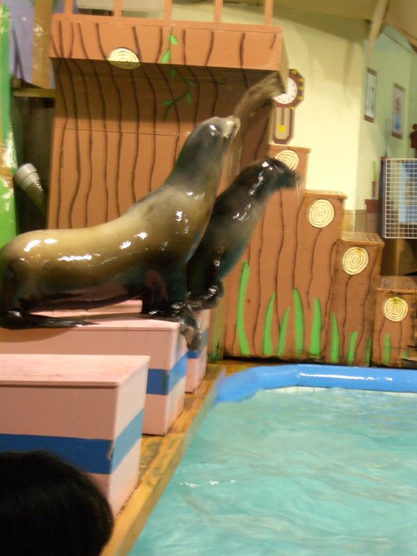 日本・伊勢神宮「伊勢神宮　いちご狩り　二見シーパラダイス　夫婦岩」の写真