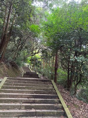 金比羅山
1368段登りきってお守り買ってきた！過酷すぎた
一円玉浮かすや...