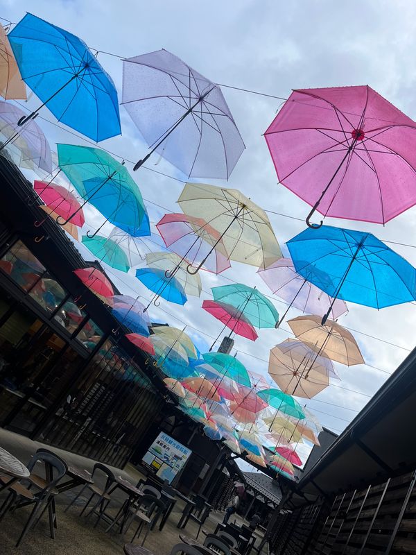 日本・石川県「石川.富山旅行」の写真