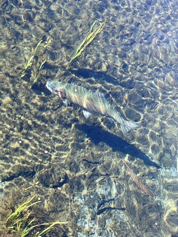日本・山梨県「山梨旅行」の写真