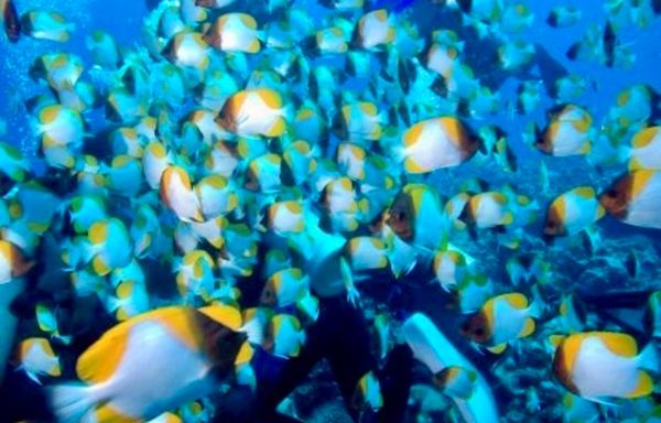 香港「HKG ✈︎ SPN ✈︎ HKG」の写真