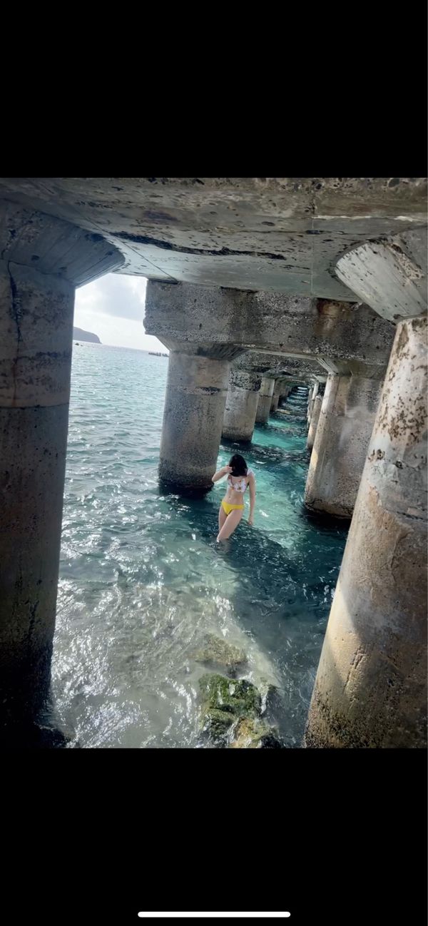 日本・新島「伊豆諸島　新島」の写真