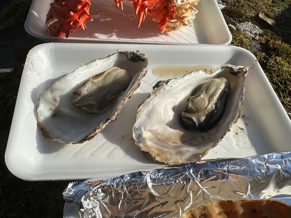 日本・北海道「釧路/根室旅行」の写真：厚岸
厚岸の牡蠣祭り
羽田富士と釧路空港