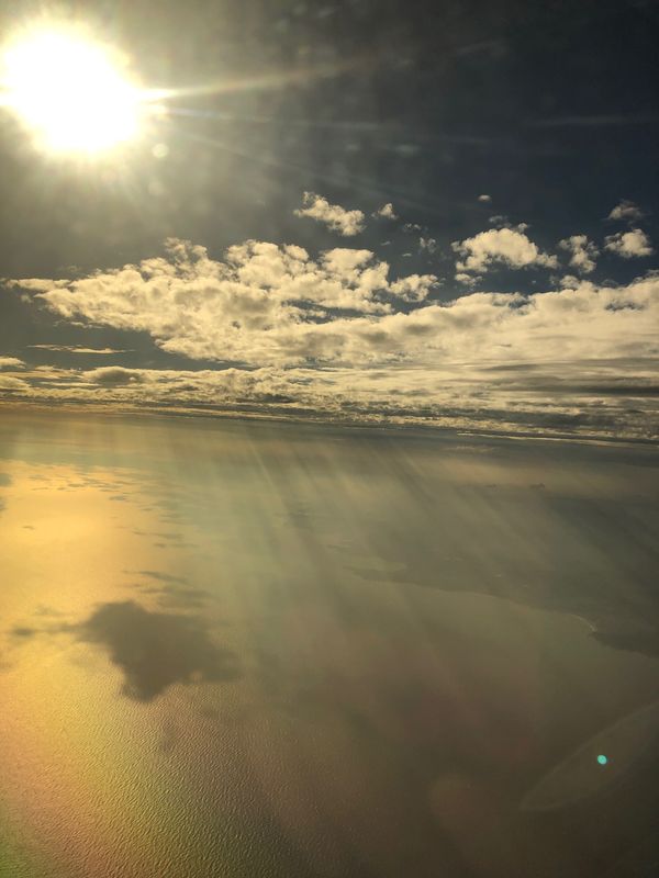 ベトナム・ホーチミンシティ「2023.09SGN放置民」の写真：あーあ
帰ってきちゃいました