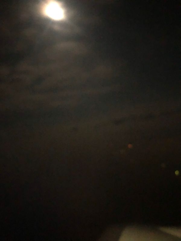 ベトナム・ホーチミンシティ「2023.09SGN放置民」の写真：中秋節快樂❣️
meal…写真撮って、ほ...