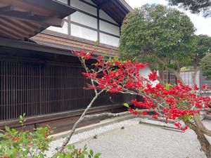 宮ノ越宿の本陣。残念ながら閉館中で外側のみ撮影。