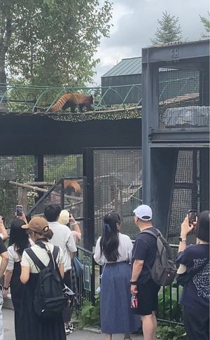 2日目は美瑛や富良野で花畑を見たくて
札幌発のバスツアーを予約
朝8時過ぎ...