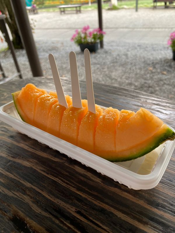 日本・北海道「2023 9月札幌•小樽•旭山富良野の旅」の写真：

ラベンダー畑で有名なファーム冨田
ラ...