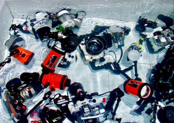 香港・赤鱲角 Chek Lap Kok「HKG ✈︎ SIN ✈︎ MDC ✈︎ SIN ✈︎ HKG」の写真：晩御飯はガドガド