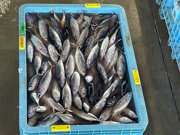 日本・岩手県「東北旅行」の写真