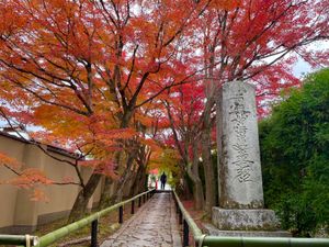 源光庵の近くにある光悦寺。こちらの紅葉も美しい。