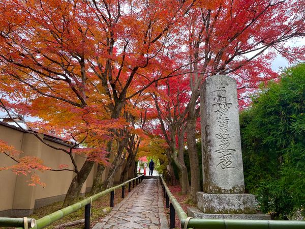 日本・京都府「秋の京都・紅葉狩り」の写真：源光庵の近くにある光悦寺。こちらの紅葉も...