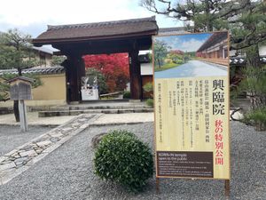 大徳寺の興臨院。秋の特別公開中でした。門前の紅葉が綺麗でした。