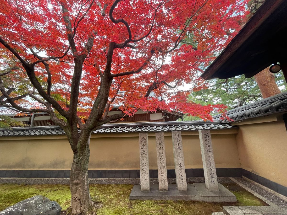 今日は京都の紅葉を見に来ました。最初は大徳寺の黄梅院。ここは前庭のみ写真撮...