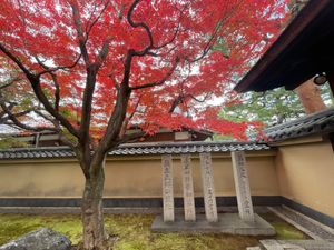 今日は京都の紅葉を見に来ました。最初は大徳寺の黄梅院。ここは前庭のみ写真撮...