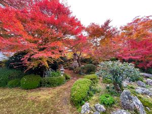 源光庵の紅葉