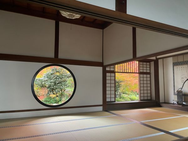 日本・京都府「秋の京都・紅葉狩り」の写真：午後は大徳寺から移動して鷹峯源光庵へ。こ...