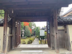 大徳寺の龍源院。こちらは枯山水の庭園。