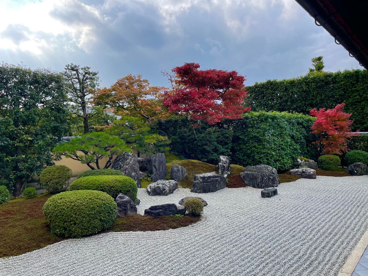 大徳寺の興臨院。秋の特別公開中でした。門前の紅葉が綺麗でした。
