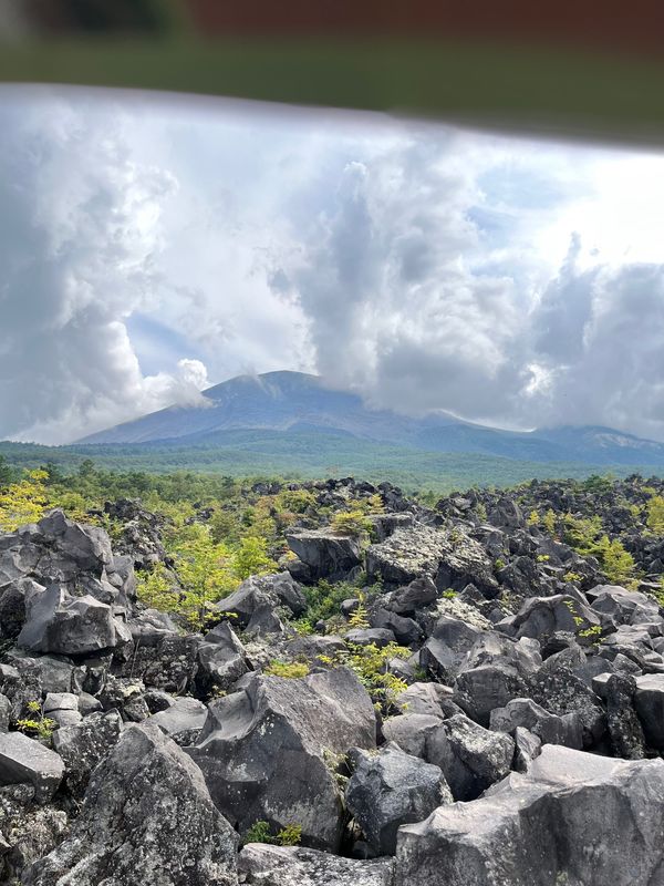 日本・長野県「喜寿のお祝い」の写真