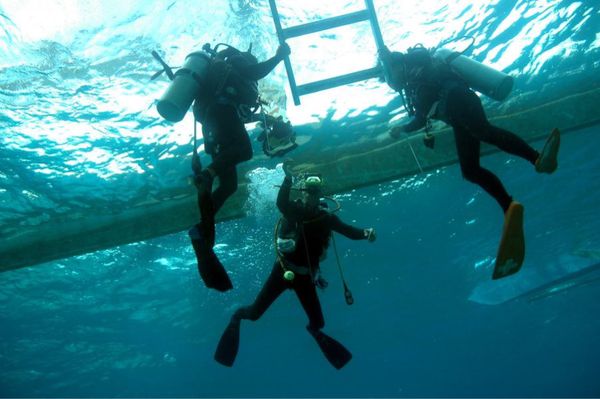 フィリピン・セブ島「HKG ✈︎ CEB ✈︎ HKG」の写真