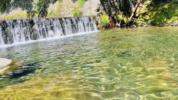 日本・神奈川県「箱根旅行」の写真：ホテルからの滝きれいだったし、箱根神社も...