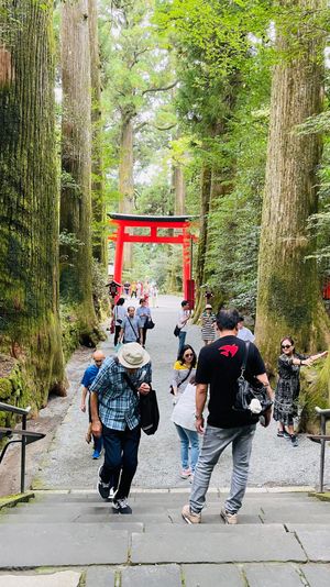 ホテルからの滝きれいだったし、箱根神社も良いところだった⛩️
富士山見えな...