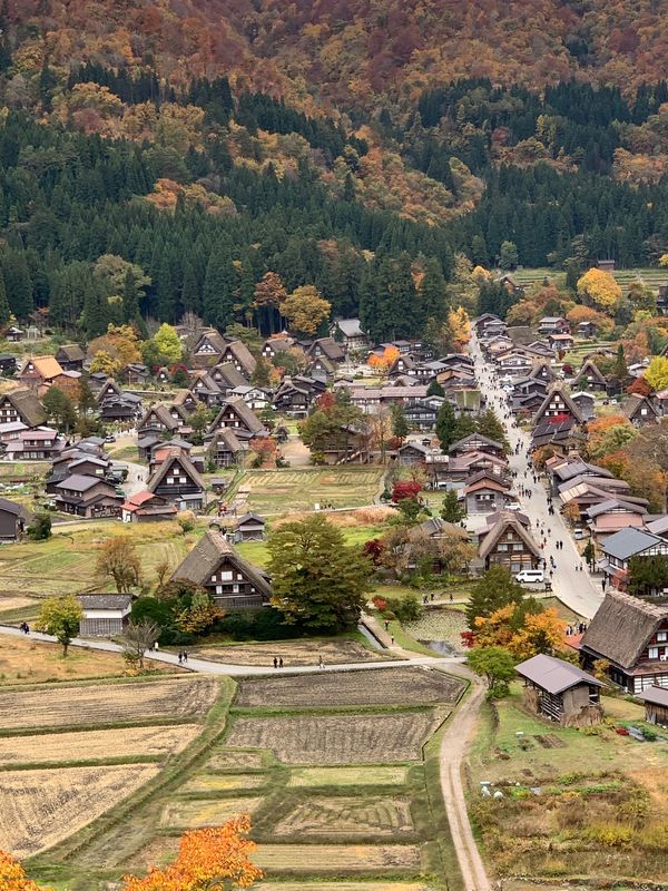日本・白川郷「岐阜　白川郷」の写真