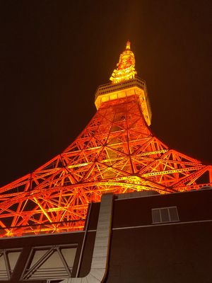 江ノ電　東京タワー　築地　池袋
