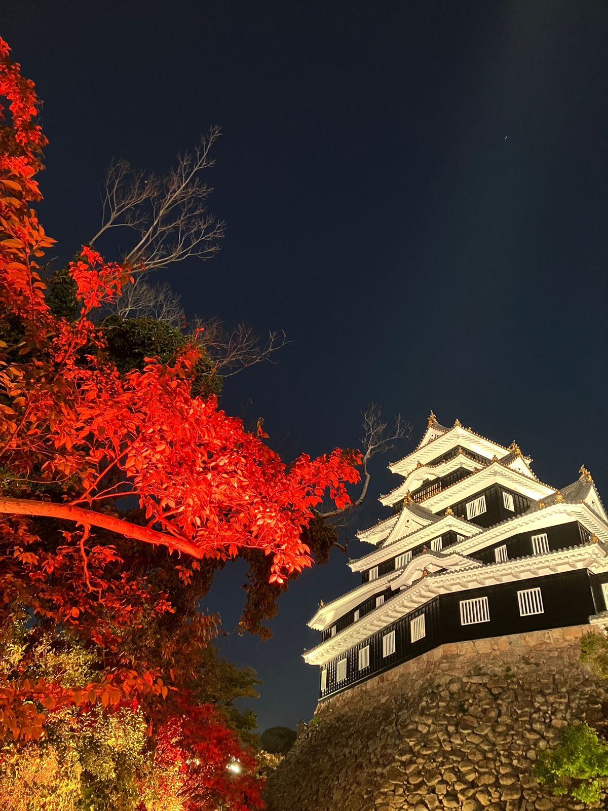 岡山城でのインスタレーション
岡山城綺麗でした🏯
