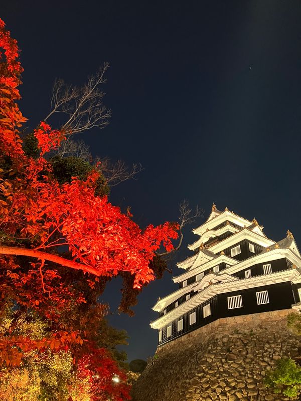 日本・岡山県「岡山ART巡り」の写真：岡山城でのインスタレーション
岡山城綺麗...