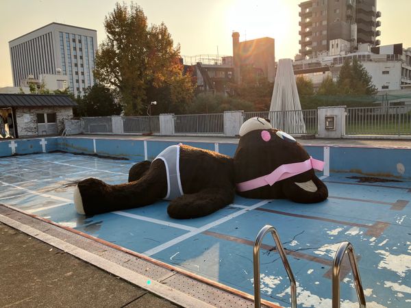 日本・岡山県「岡山ART巡り」の写真：旧小学校での作品。