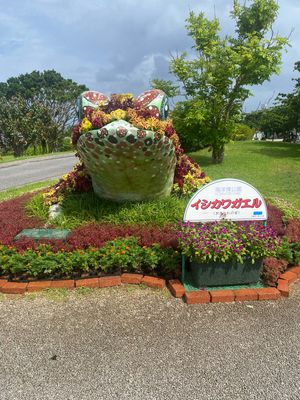 美ら海博物館と海洋博物館へ観光