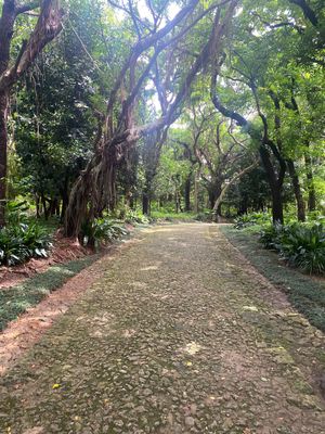 世界遺産・識名園
琉球王朝のお客様を招く際に使われた。いわば迎賓館です
