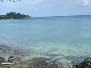 美ら海博物館と海洋博物館へ観光