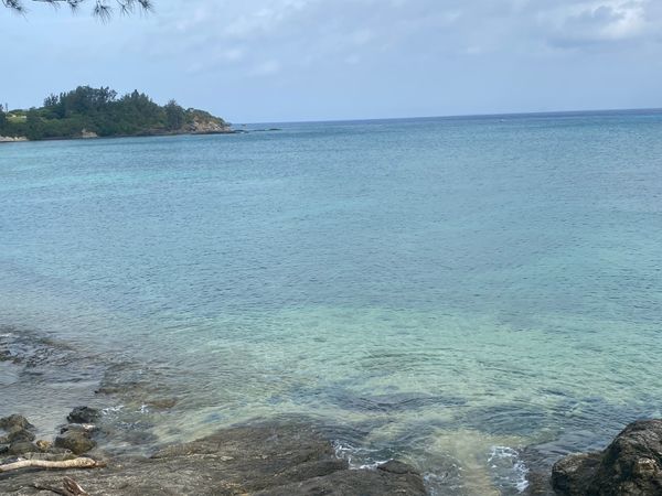 日本・沖縄県「沖縄　家族旅行」の写真：美ら海博物館と海洋博物館へ観光