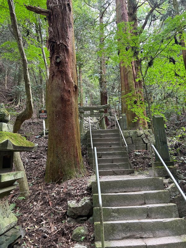 日本・大分県「家族旅行」の写真