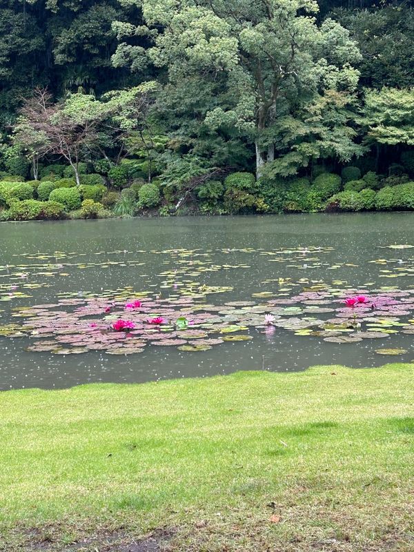 日本・大分県「家族旅行」の写真