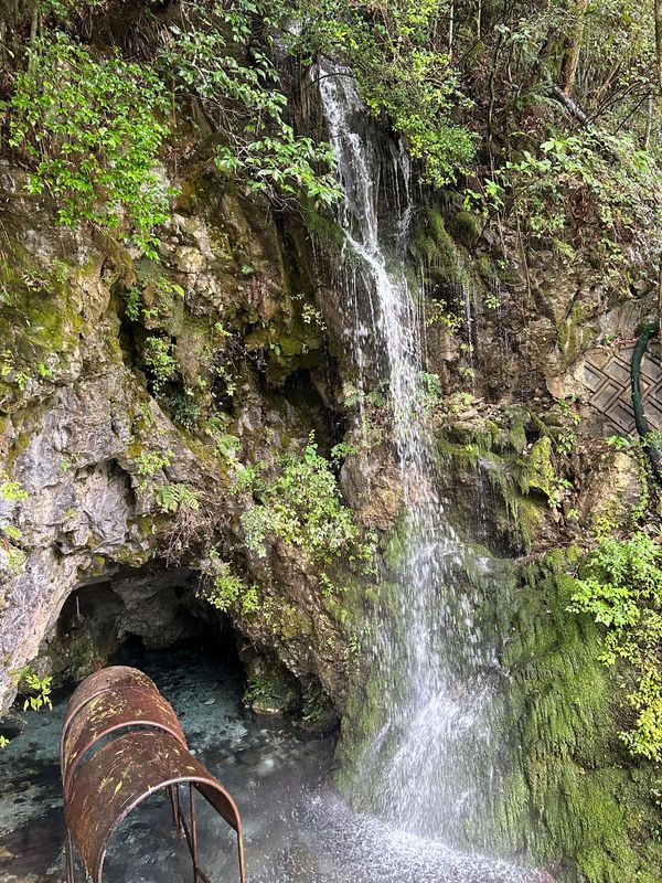 日本・大分県「家族旅行」の写真